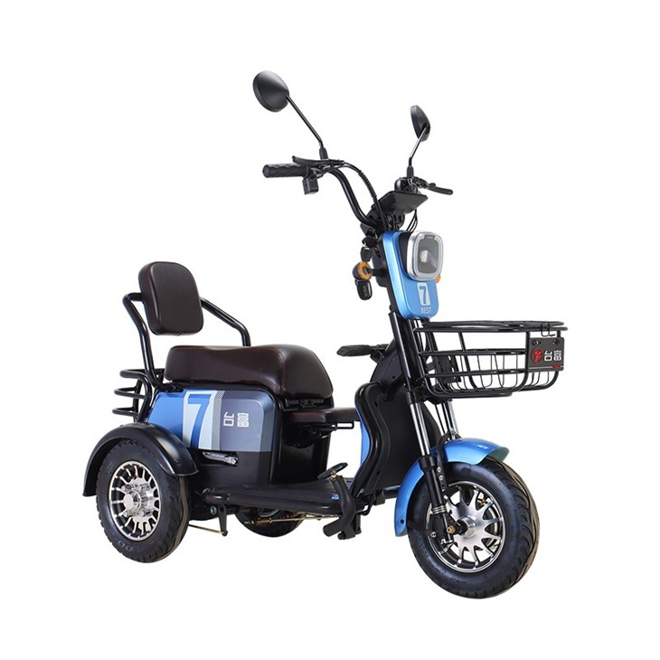 Electric Tricycle 48v 600w factory