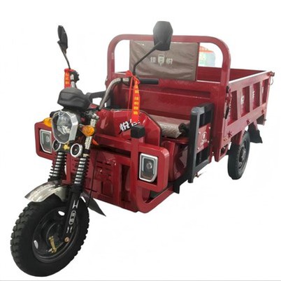 E Cargo Tricycle